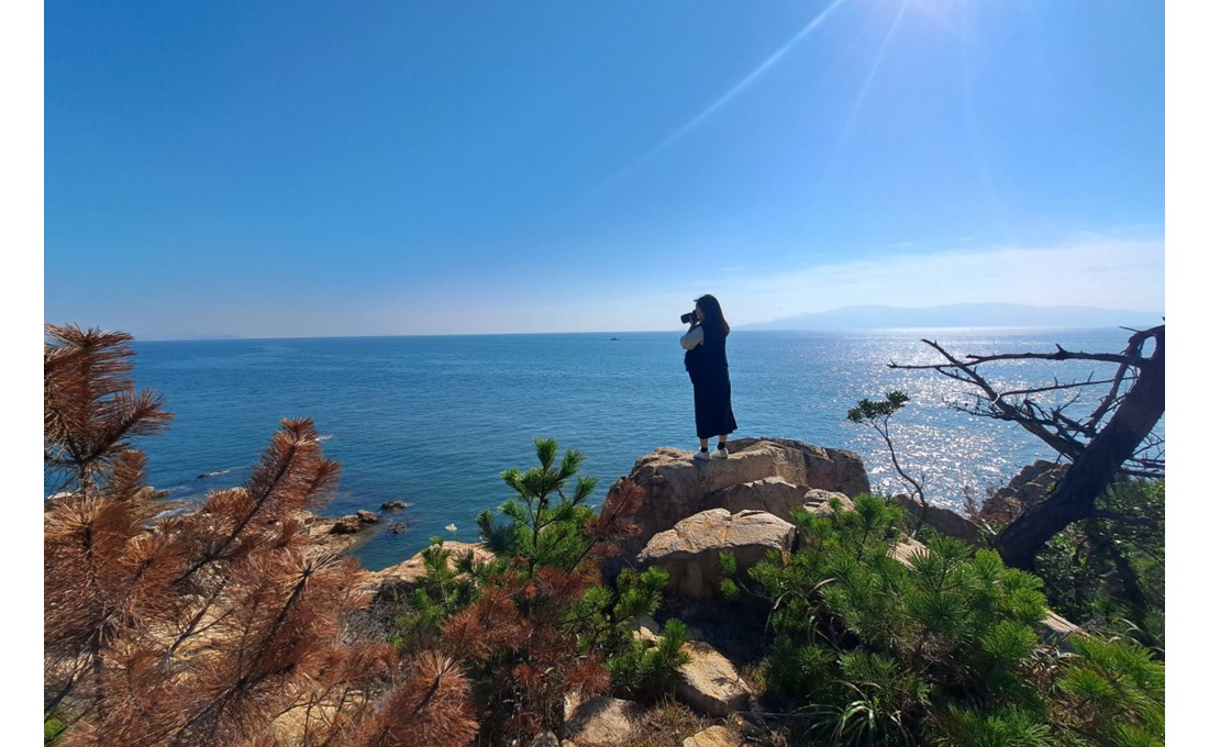 歴史と自然美が眠る備前市日生「大多府島」を歩いて感じる島時間