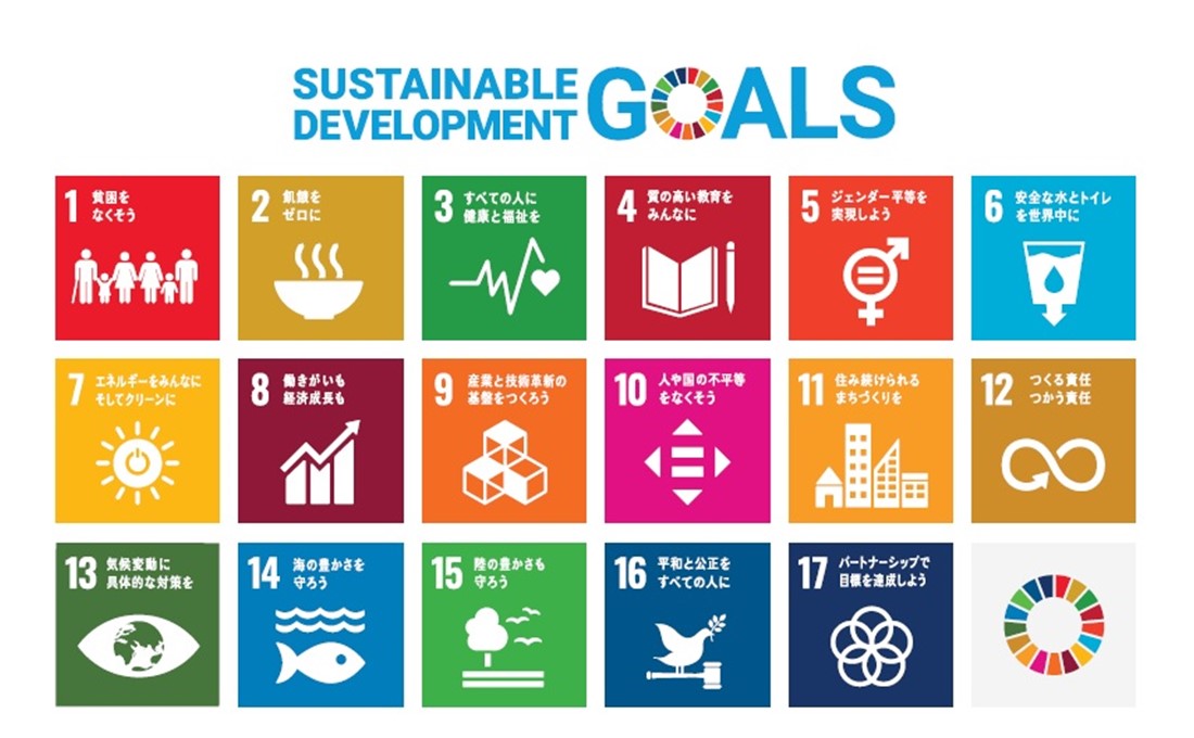 再生エネ前進も男女格差停滞、SDGs採択後の10年を振り返る