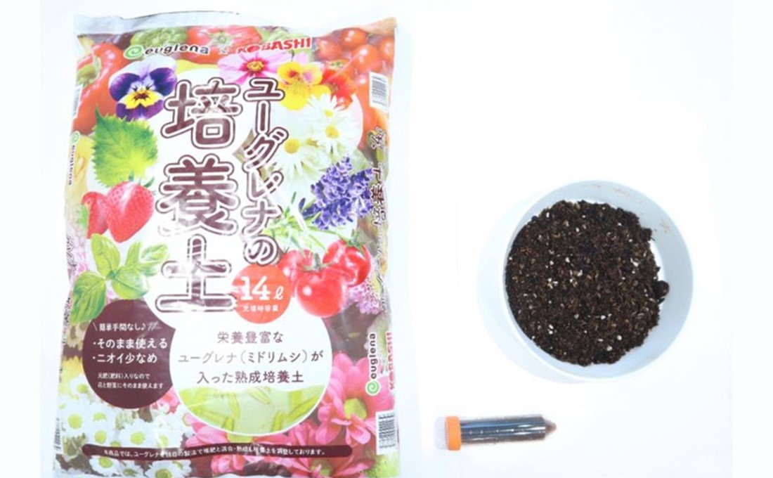 ミドリムシ入りの培養土が野菜の品質と収穫量を向上させる！