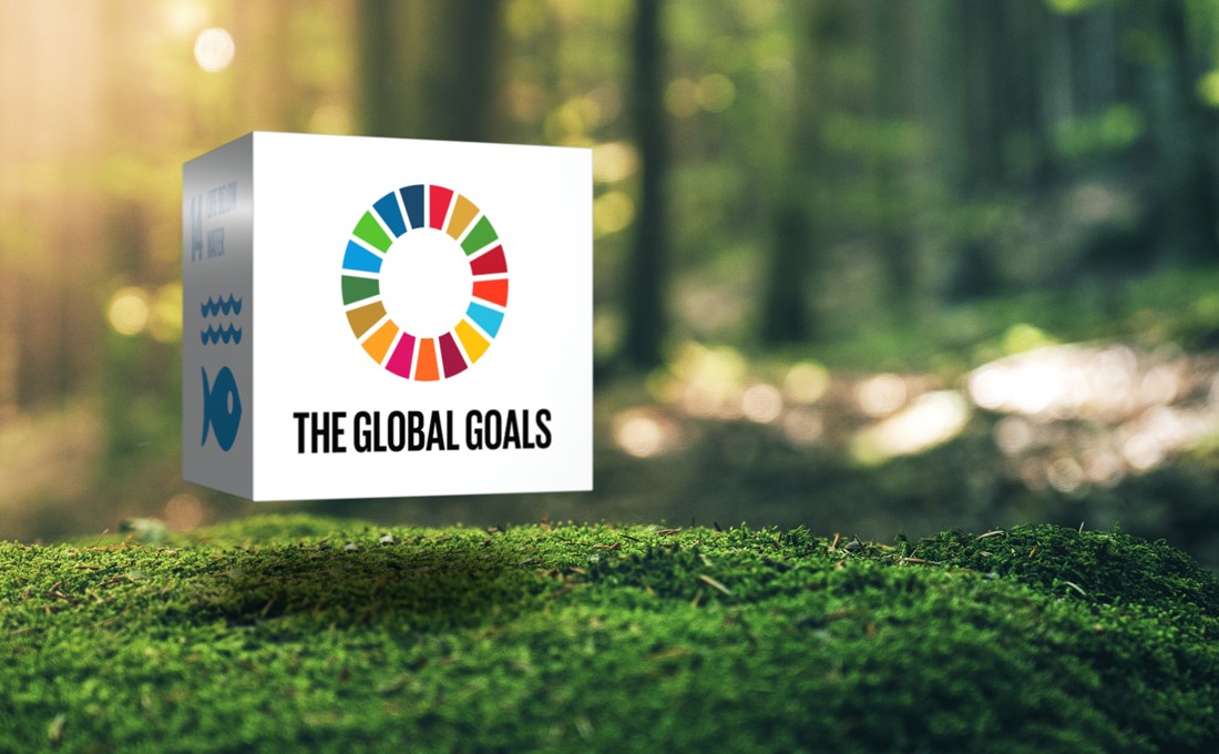 【SDGs】（前編）中小企業がSDGsで「稼ぐ」ための3つのステージ