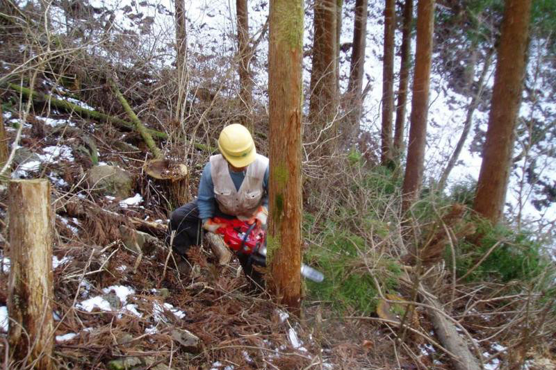 林業振興の最後のチャンス…「森林経営管理制度」の効果～新制度スタート、放置森林を経営者に委託～