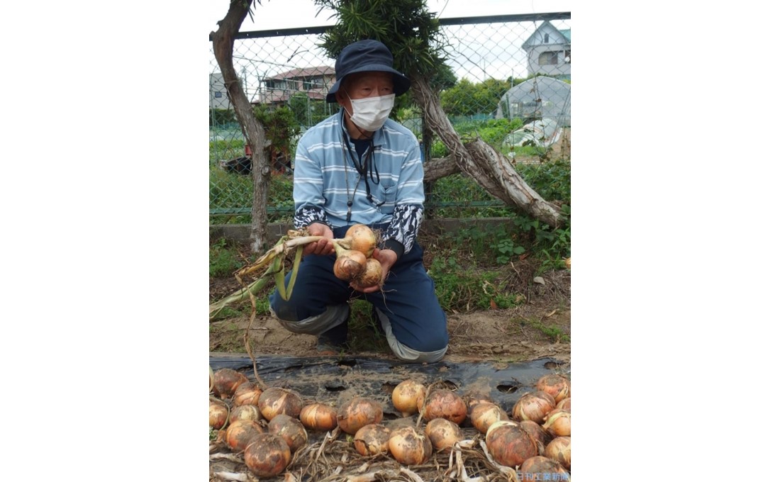 収入が不安定で栽培を諦める農家を助けた石井食品。ＳＤＧｓにも貢献