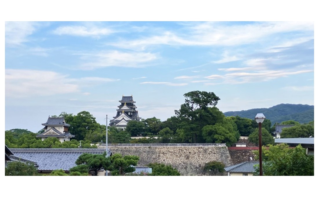 【空から見る岡山の史跡】岡山を代表する名城「岡山城」を空から徹底解説！