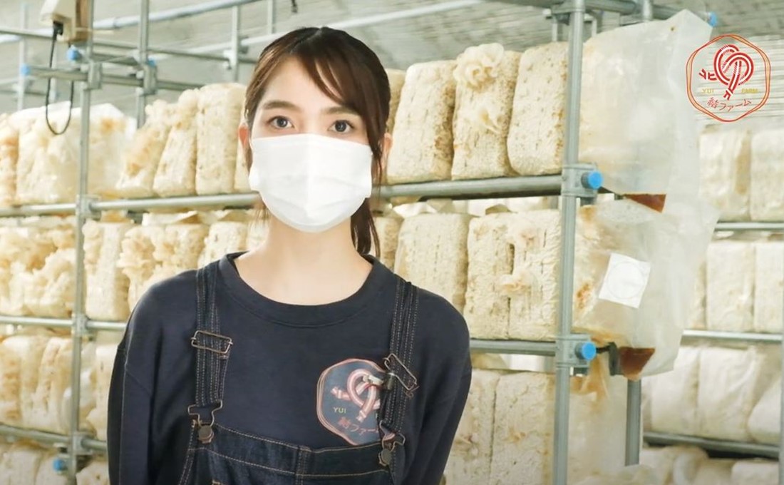 岡山県和気町で希少な「白いきくらげ」栽培に挑む農業女子達